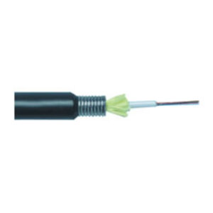 ERAT 12 Fiberli Paslanmaz Çelik Zırhlı SLT MM 50 mikron Tek kılıflı