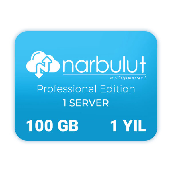 NARBULUT Backup Now 100GB Professional Edition -1 SERVER - 1 YIL - Görsel 2