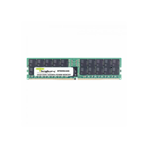 BIGBOY 64GB DDR5 5600MHz CL46 Registered 2Rx8 Sunucu Rami